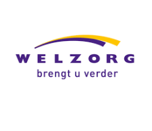 logo_welzorg.png